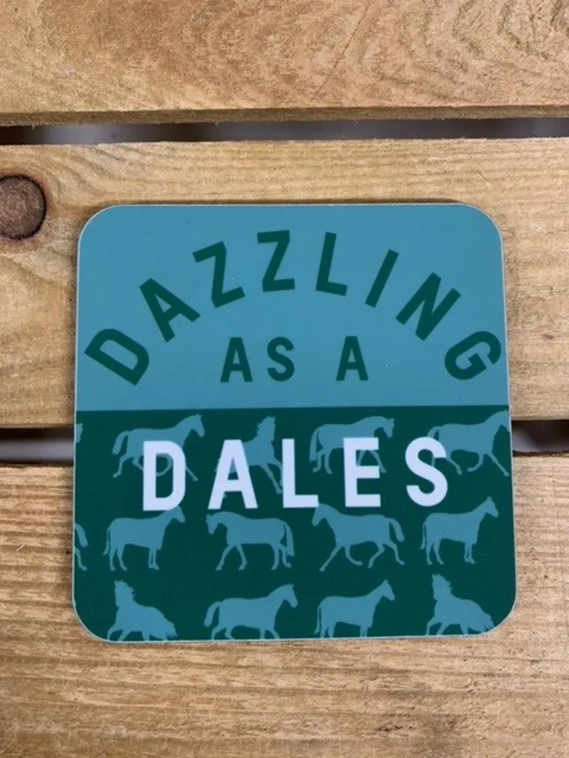 Gubblecote Dazzling as a Dales Coaster-1